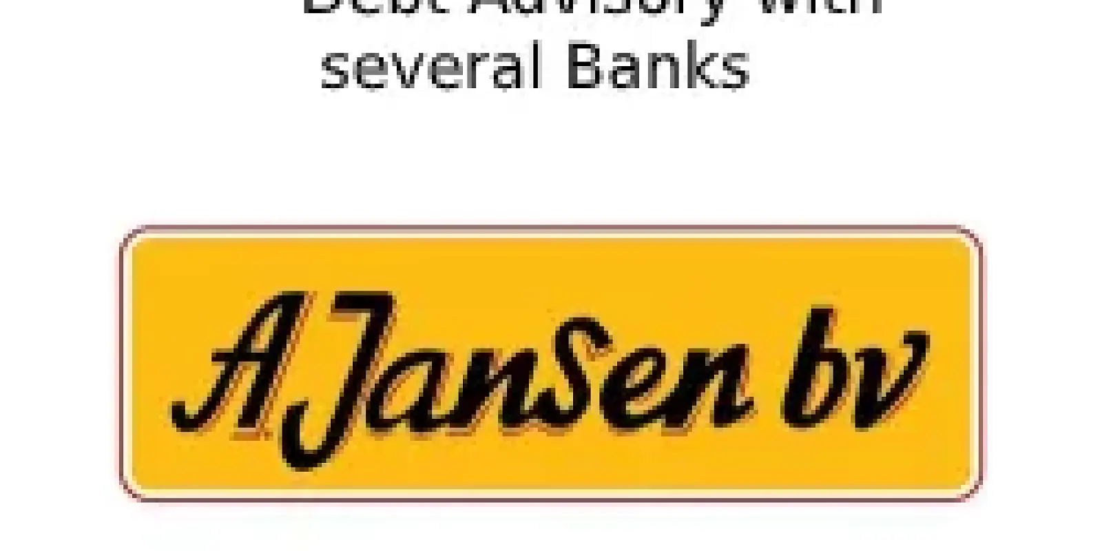 A. Jansen can continue its growth thanks to favorable (integral re) financing