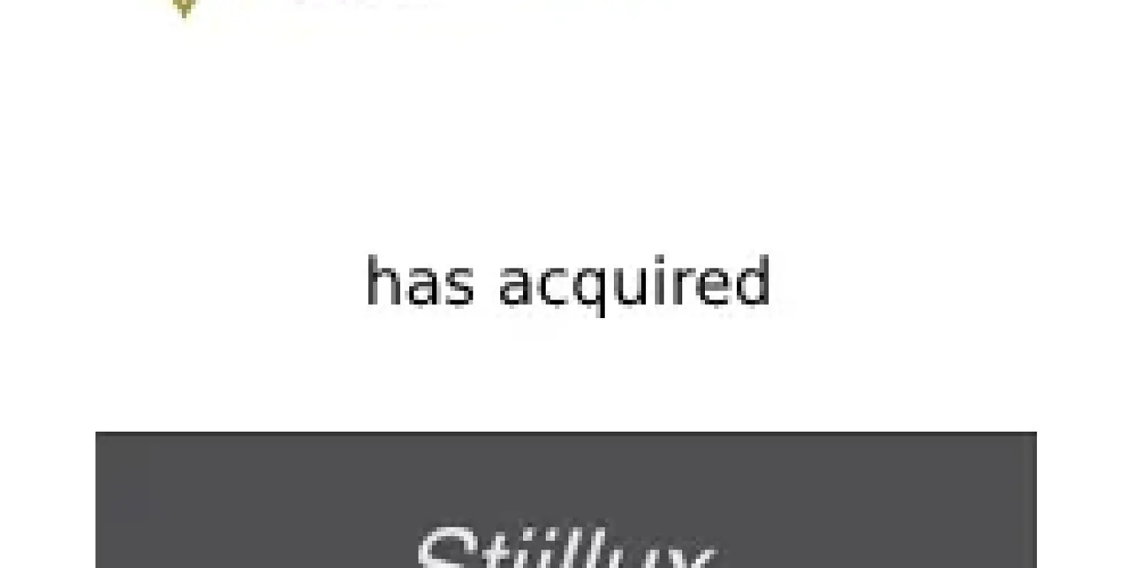 The Belgian private equity party RENARDMONT takes over the Dutch company STIJLLUX