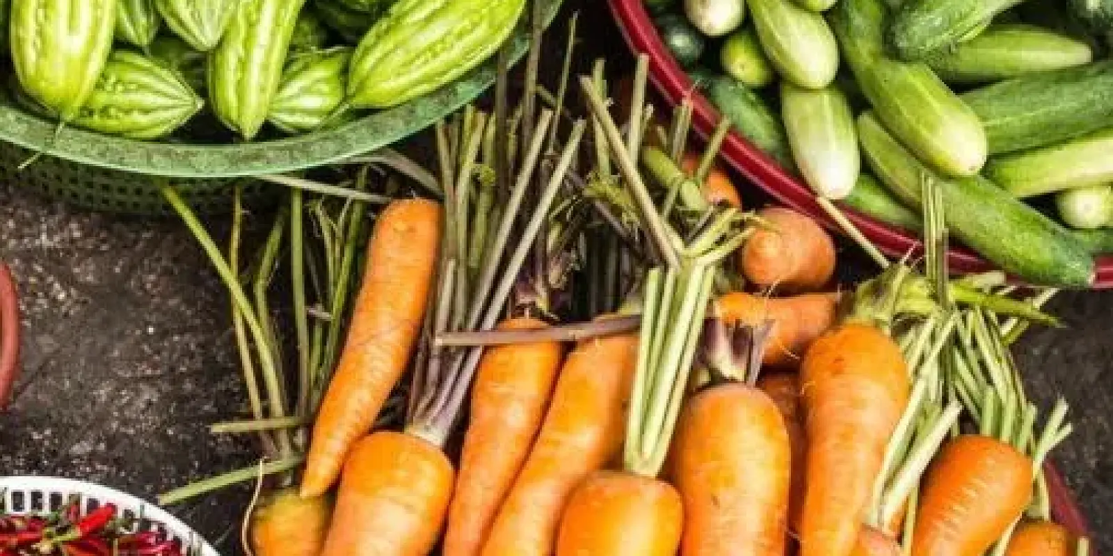Facts Trends and Tendencies to look out for in the Agri, food and beverages sector